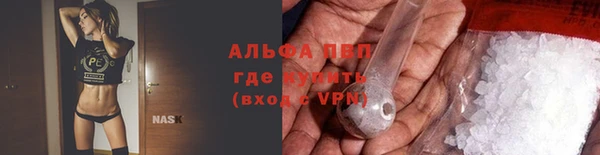 мет Алексин