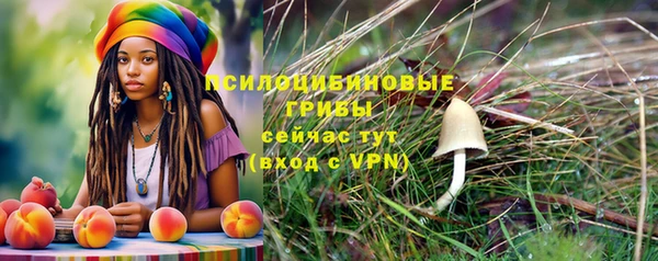 мет Алексин