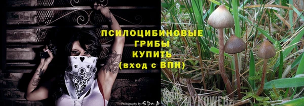 мет Алексин